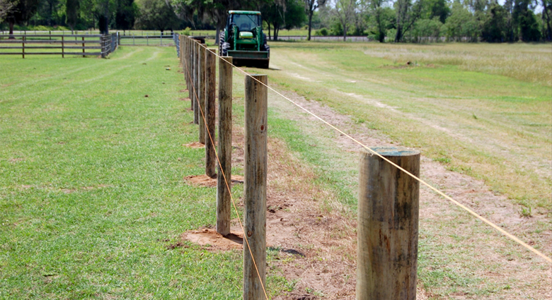 The Most Important Things to Consider when Buying Ag Fencing